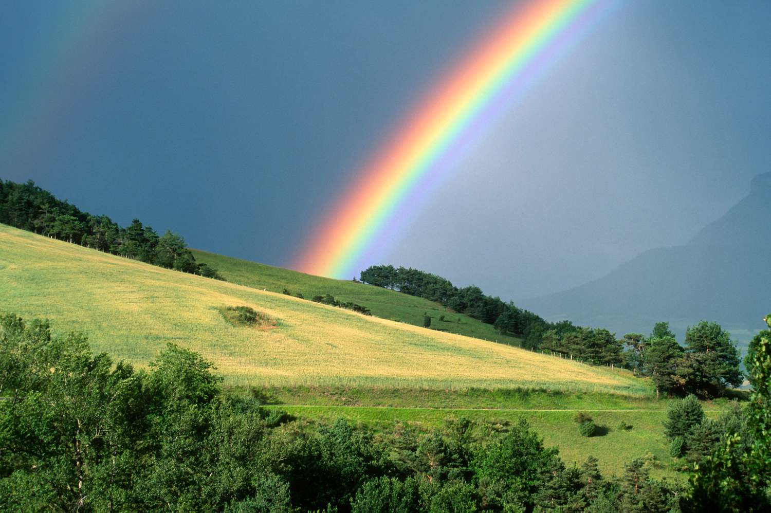 What rainbows mean around the world